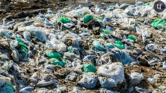 La décharge de Prairie Green à Winnipeg, Manitoba, au Canada, le 28 avril 2024