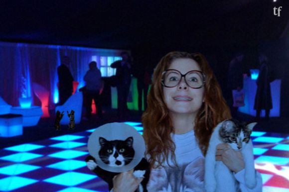 Le club Neko, boite de nuit pour chats au Japon