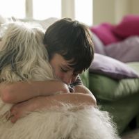 Les chiens contribuent à notre bonheur et à notre santé : 9 signes qui le prouvent