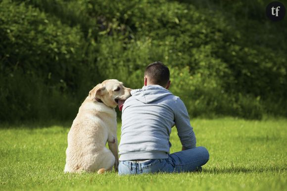 Le chien médecin