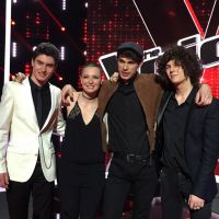 Gagnant The Voice 2015 : revoir la victoire de Lilian Renaud sur TF1 Replay