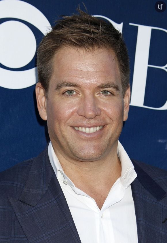  Michael Weatherly lors de la soirée "CBS, CW And Showtime 2015 Summer TCA" au Pacific Design Center à West Hollywood, le 10 août 2015. 