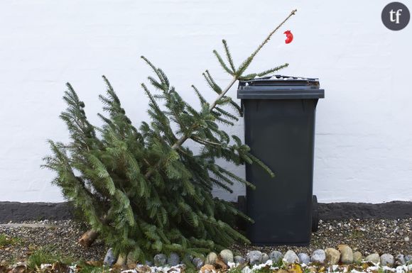 6 façons écolos de se débarrasser de son sapin de Noël