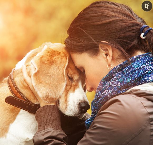 Votre chien ressent vos émotions, c'est scientifiquement prouvé
