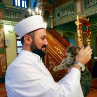 Un imam d'Istanbul ouvre sa mosquée aux chats errants