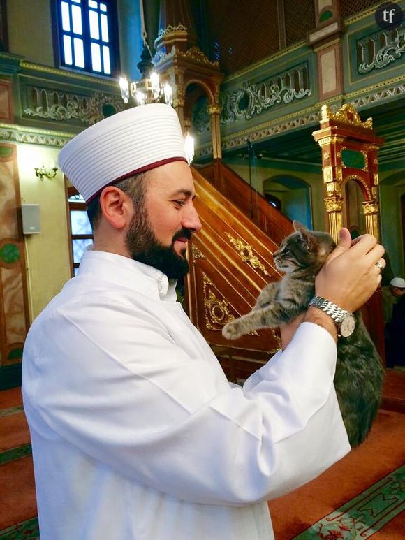 L'imam Mustafa Efe accueille les chats errants dans sa mosquée à Istanbul