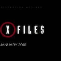 X-Files : une suite avec une saison 11 ou un film ?