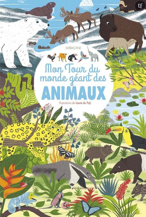 Mon tour du monde géant des animaux de Laure du Faÿ – 22 euros 