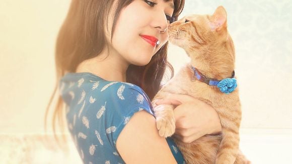 5 signes qui prouvent que vous êtes prête à adopter un chat