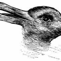 Voyez-vous un canard ou un lapin ? Ce dessin en dirait long sur votre personnalité