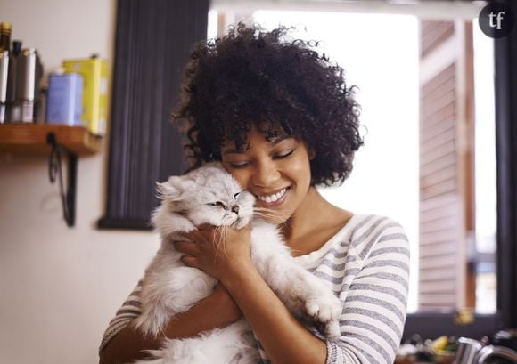 10 trucs que l'on fait quand on a un chat (mais qu'on ne veut pas admettre en public)