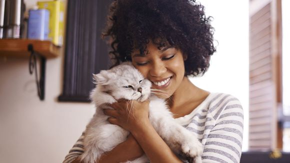 10 trucs que l'on fait quand on a un chat (mais qu'on n'admettra jamais)