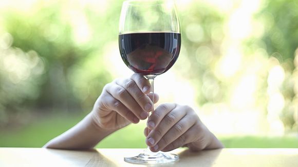 Bientôt des "cours de vin" pour les enfants en Italie ?