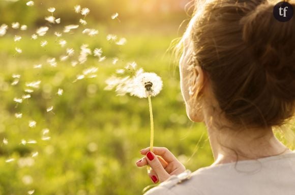 Les pissenlits sont bons pour la santé