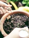 Guerrilla Gardening: quand planter devient un acte de résistance écologique