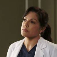 Grey's Anatomy saison 12 : une nouvelle épreuve pour le couple Callie et Arizona (spoilers)