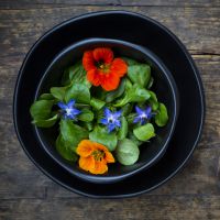 5 fleurs comestibles délicieuses à préparer en salade