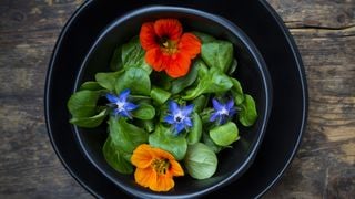 5 fleurs comestibles délicieuses à préparer en salade