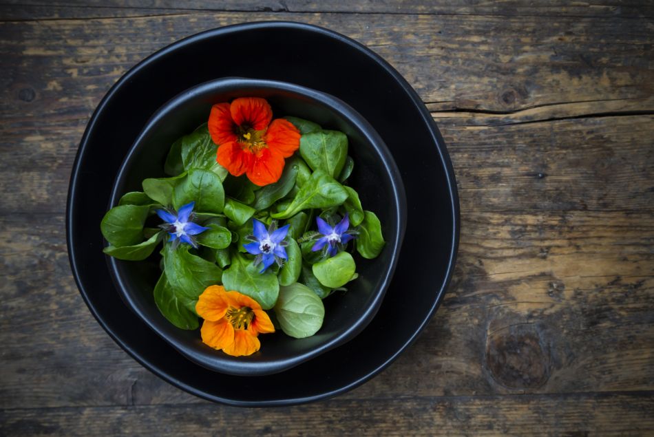 5 fleurs comestibles à préparer en salade 