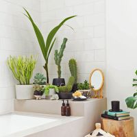 25 jolies idées de déco avec des cactus repérées sur Pinterest