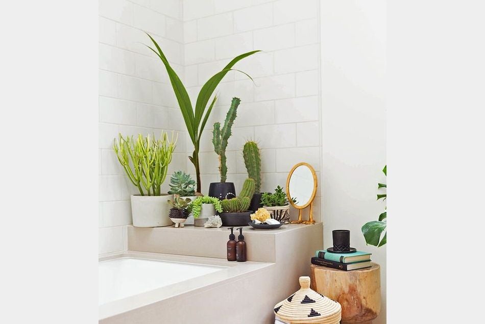 Idée déco n°4 : des cactus dans la salle de bain