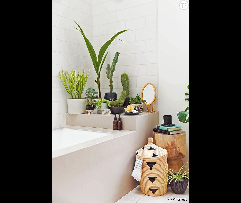 Idée déco n°4 : des cactus dans la salle de bain