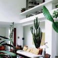 Idée de déco n°5 : des cactus géants dans le salon