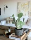 Idée déco n°15 : un cactus sur la table du salon