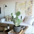 Idée déco n°15 : un cactus sur la table du salon