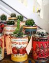 Idée déco n°17 : des cactus dans des boîtes vintage