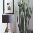 Idée déco n°18 : un cactus géant dans un coin du salon