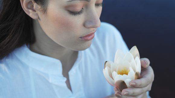 Ces plantes magiques de la médecine chinoise pour purifier son corps et sa peau