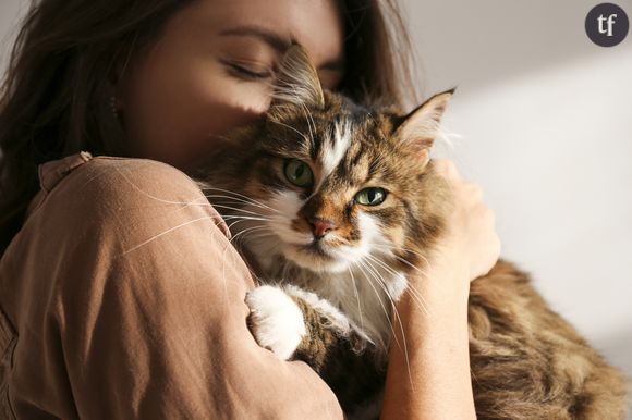 Chats et chiens, des compagnons de bien-être.