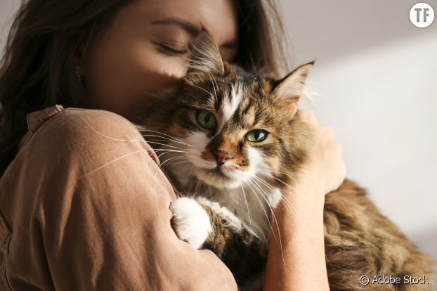 Chats et chiens, des compagnons de bien-être.