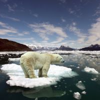 Pourquoi 2021 est une année cruciale pour (enfin) freiner la crise climatique