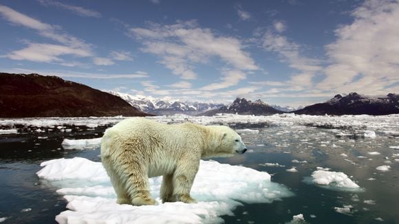 Pourquoi 2021 est une année cruciale pour (enfin) freiner la crise climatique