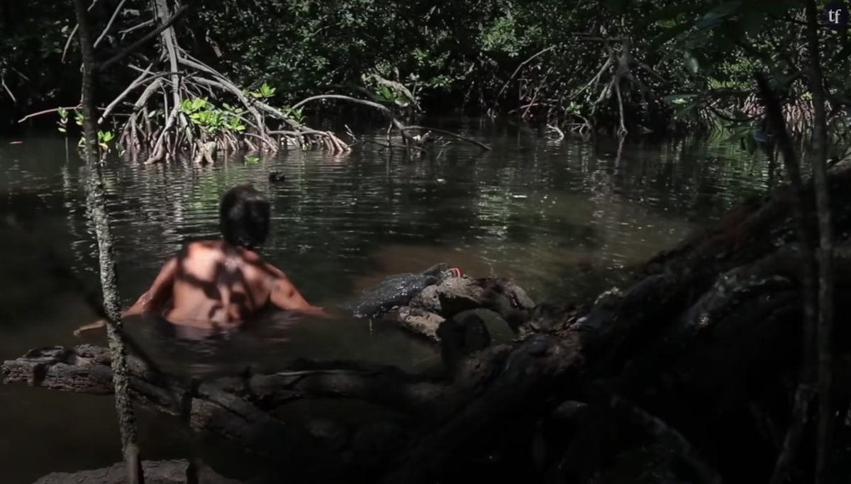 Cette forêt réservée aux femmes pourrait disparaître à cause de la  pollution en Indonésie - Terrafemina