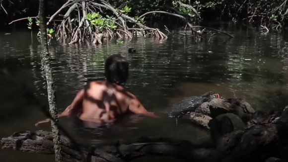 Cette forêt réservée aux femmes pourrait disparaître à cause de la pollution en Indonésie