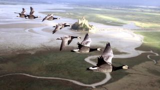 4 docus écolos de Jacques Perrin à regarder pour la Journée de la Terre