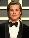 Brad Pitt à Los Angeles, 2022