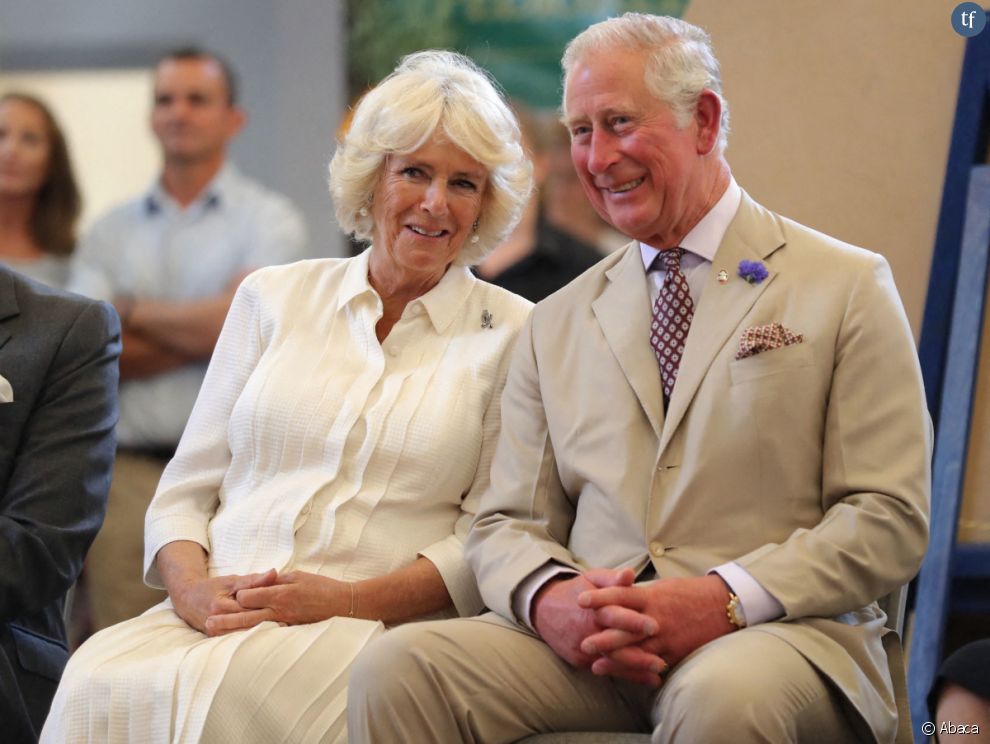  Son histoire est celle d&#039;un scandale. En 1992 la relation entre le Prince Charles et Camilla Parker-Bowles fut révélée alors que ce dernier était encore marié à Lady Di      