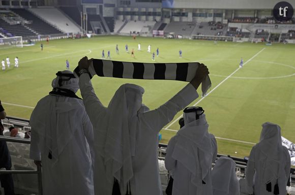 La Coupe du monde au Qatar, pays désertique et dépourvu d'infrastructures est une aberration écologique