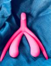   Preuve à l'appui : en France, le clitoris n'a fait son apparition dans un manuel scolaire de SVT qu'en 2017  
     
