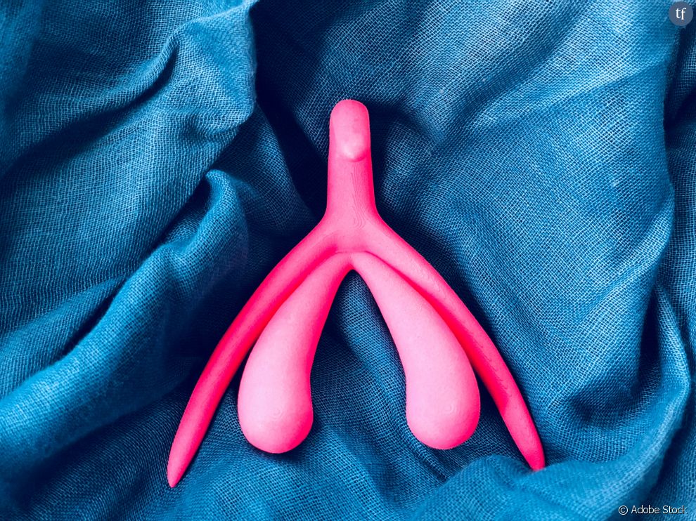   Preuve à l&#039;appui : en France, le clitoris n&#039;a fait son apparition dans un manuel scolaire de SVT qu&#039;en 2017  
     