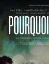 Une femme, deux hommes, une relation polyamoureuse et bisexuelle... C'est ce que met en scène un film culte trop méconnu, et français s'il vous plaît :  Pourquoi pas ! 