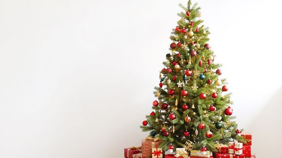 Et si les sapins de Noël étaient dangereux pour notre santé ?