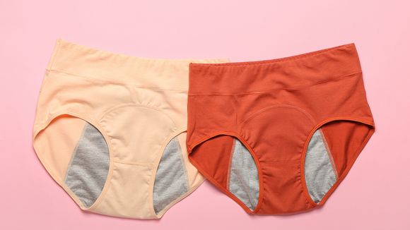 Des culottes menstruelles "toxiques" : à quand des protections périodiques sûres ?