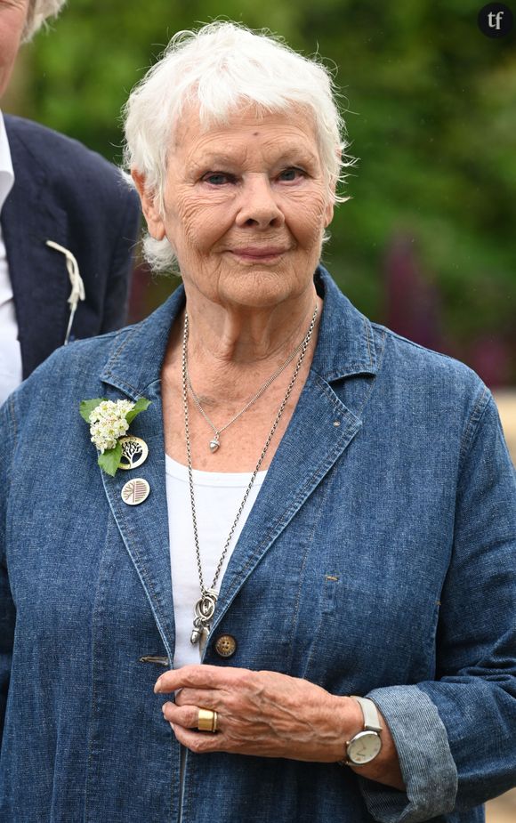 Au média américain, Judi Dench a également précisé que "quelqu'un pourrait simplement [lui] apprendre les lignes" du script à retenir pour le tournage des scènes.
Dame Judi Dench - Les célébrités assistent à l'exposition florale "RHS Chelsea Flower Show" au Royal Hospital à Londres, le 23 mai 2022. 