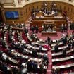 "Il est temps !" : le Sénat adopte l'inscription de l'IVG dans la Constitution