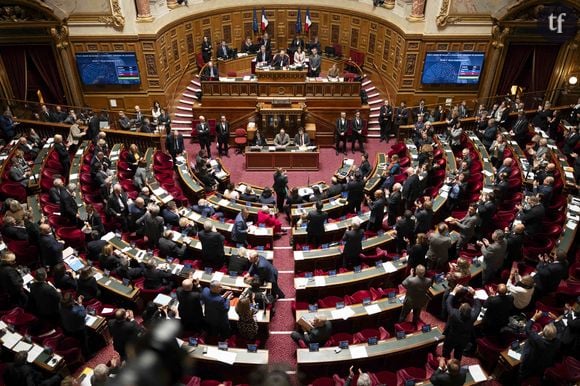 "Historique !" : le Sénat adopte l'inscription de l'IVG dans la Constitution
Photo by Eliot Blondet/ABACAPRESS.COM